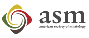 ASM